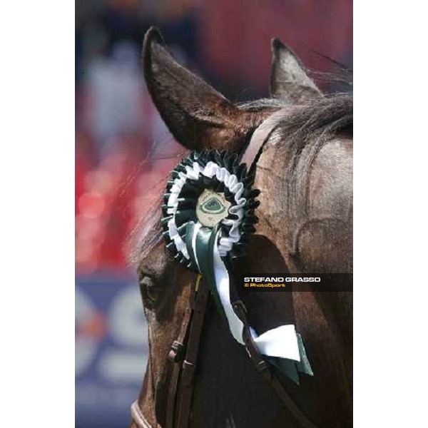 Rome Piazza di Siena 29th may 2004 ph.Stefano Grasso 