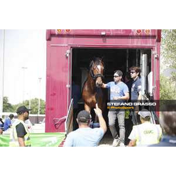 LGCT of Doha - Horses Arrivals - - Doha, Al Shaqab - 7 November 2017 - ph.Stefano Grasso/LGCT