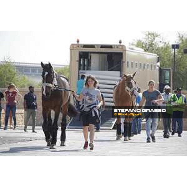 LGCT of Doha - Horses Arrivals - - Doha, Al Shaqab - 7 November 2017 - ph.Stefano Grasso/LGCT