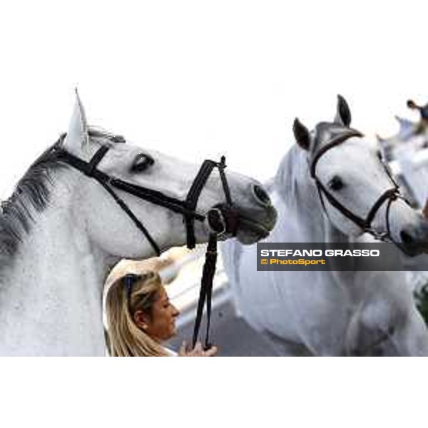 LGCT of Doha - The Vet inspection DOHA - Al Shaqab,8th nov. 2017 ph.Stefano Grasso/LGCT