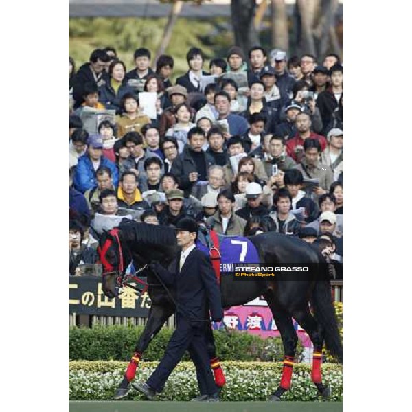 Vermilion winner of the Japan Cup Dirt 2007 parading before the race Tokyo- Fuchu, 24th nov. 2007 ph.Stefano Grasso