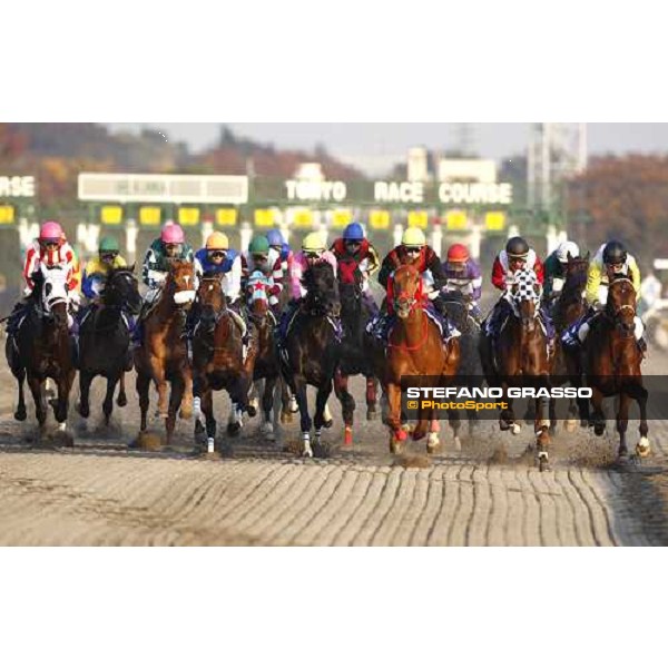 the horses of the Japan Cup Dirt 2007 immediately after the start. Yutaka Take on Vermilion, 6th from right, and Ryan Moore on Kandidate, 1st from right. Tokyo- Fuchu, 24th nov. 2007 ph.Stefano Grasso