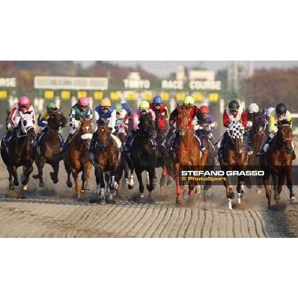 the horses of the Japan Cup Dirt 2007 immediately after the start Tokyo- Fuchu, 24th nov. 2007 ph.Stefano Grasso
