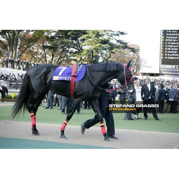 Vermilion parading before winning the Japan Cup Dirt at Fuchu racecourse Tokyo-Fuchu, 24th nov. 2007 ph. Stefano Grasso