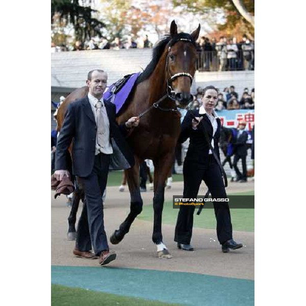 Kandidate parading before the Japan Cup Dirt at Fuchu racecourse Tokyo-Fuchu, 24th nov. 2007 ph. Stefano Grasso