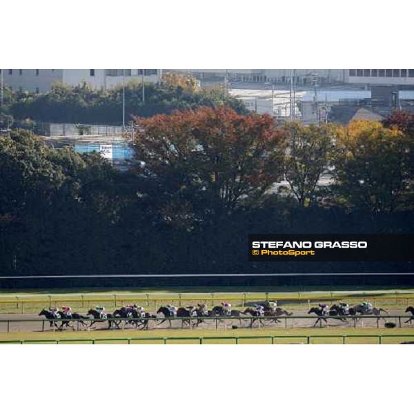 racing at Fuchu racecourse Tokyo-Fuchu, 24th nov. 2007 ph. Stefano Grasso