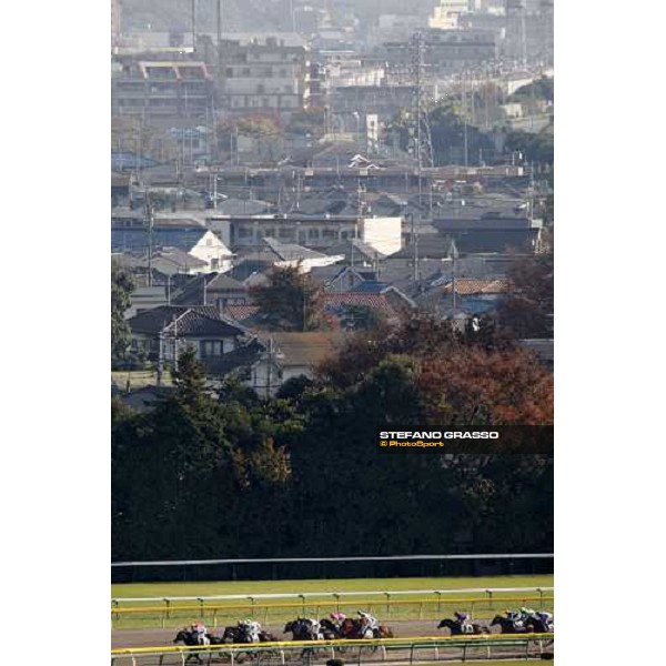 racing at Fuchu racecourse Tokyo-Fuchu, 24th nov. 2007 ph. Stefano Grasso