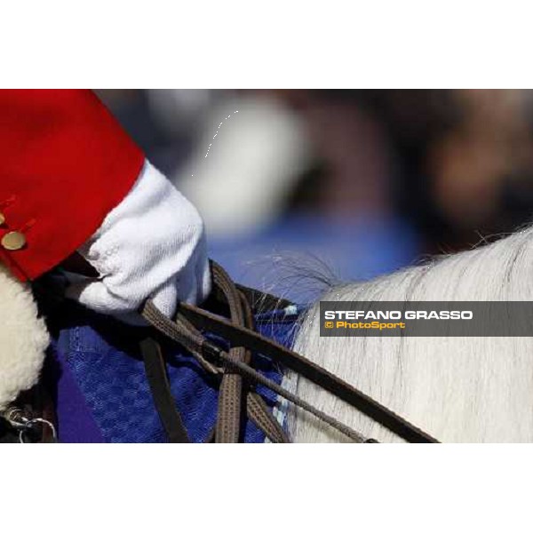 a close up for a pony at Fuchu racecourse Tokyo-Fuchu, 24th nov. 2007 ph. Stefano Grasso