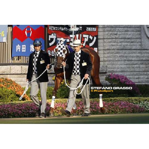Furioso parading before the Japan Cup Dirt at Fuchu racecourse Tokyo-Fuchu, 24th nov. 2007 ph. Stefano Grasso