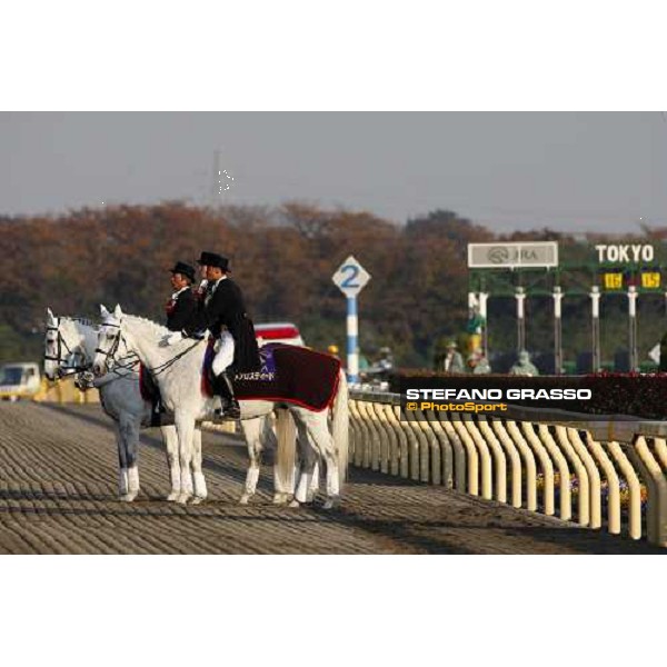 the ponies before the Japan Cup Dirt at Fuchu racecourse Tokyo-Fuchu, 24th nov. 2007 ph. Stefano Grasso