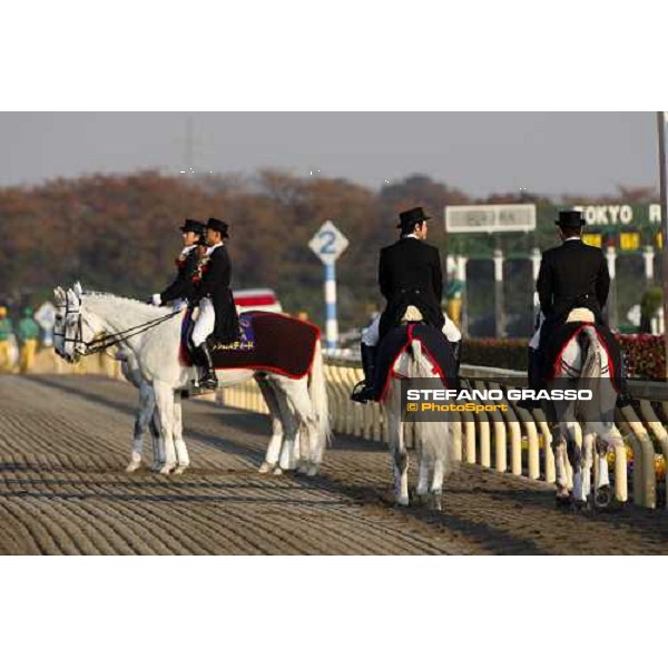 the ponies before the Japan Cup Dirt at Fuchu racecourse Tokyo-Fuchu, 24th nov. 2007 ph. Stefano Grasso