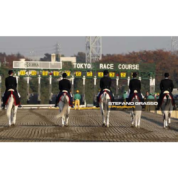preparing the starting gates for the Japan Cup Dirt at Fuchu racecourse Tokyo-Fuchu, 24th nov. 2007 ph. Stefano Grasso