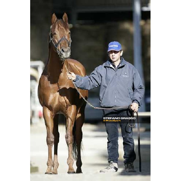 St Paul House pictured at All. I Mandorli Cedri - Peccioli (PI), 28th nov. 2007 ph. Stefano Grasso