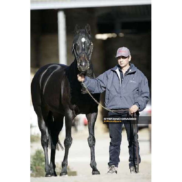 Plumbird pictured at All. I Mandorli Cedri - Peccioli (PI), 28th nov. 2007 ph. Stefano Grasso