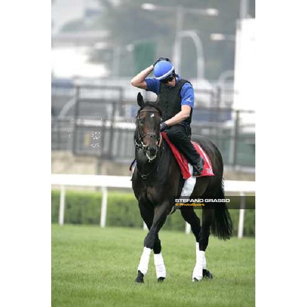 Ramonti preparing for morning track works at Sha Tin Hong Kong, 6th dec. 2007 ph. Stefano Grasso