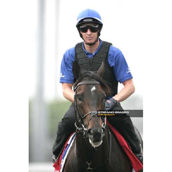 Ramonti coming back to the stable after morning track works at Sha Tin Hong Kong, 6th dec. 2007 ph. Stefano Grasso