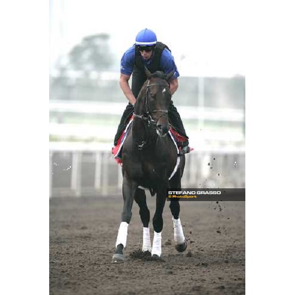 Ramonti execercing during morning track works at Sha Tin Hong Kong, 6th dec. 2007 ph. Stefano Grasso