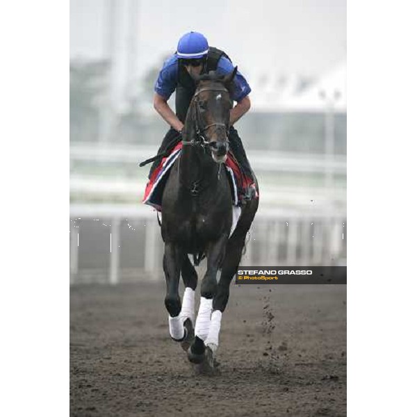 Ramonti execercing during morning track works at Sha Tin Hong Kong, 6th dec. 2007 ph. Stefano Grasso