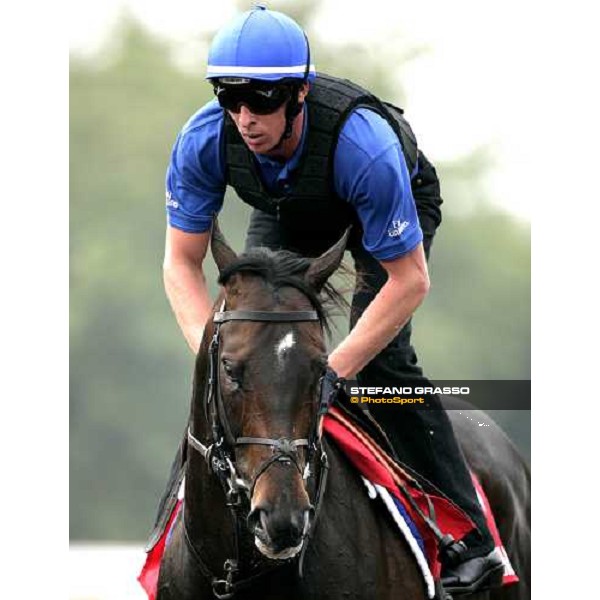 Ramonti execercing during morning track works at Sha Tin Hong Kong, 6th dec. 2007 ph. Stefano Grasso