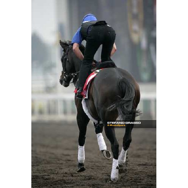 Ramonti execercing during morning track works at Sha Tin Hong Kong, 6th dec. 2007 ph. Stefano Grasso