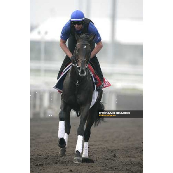 Ramonti execercing during morning track works at Sha Tin Hong Kong, 6th dec. 2007 ph. Stefano Grasso