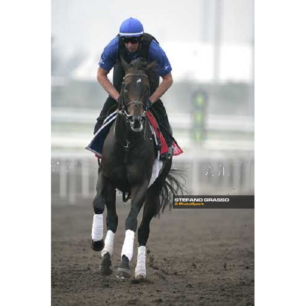 Ramonti execercing during morning track works at Sha Tin Hong Kong, 6th dec. 2007 ph. Stefano Grasso