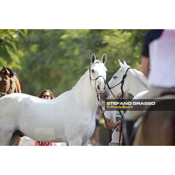 LGCT of Doha - Clooney DOHA - Al Shaqab,9th nov. 2017 ph.Stefano Grasso/LGCT