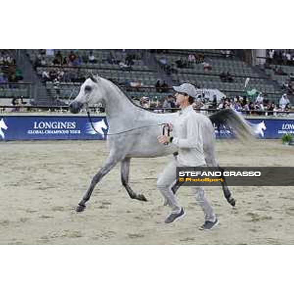 LGCT of Doha - The Arabian show - DOHA - Al Shaqab,11th nov. 2017 - ph.Stefano Grasso-Mario Grassia/LGCT
