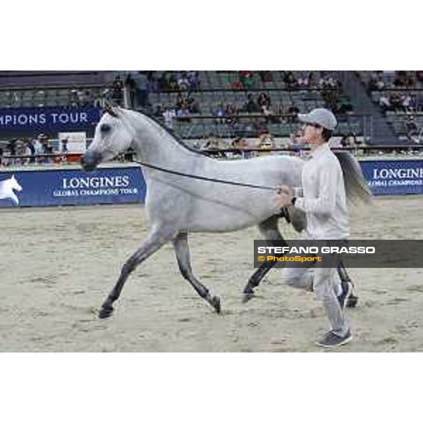 LGCT of Doha - The Arabian show - DOHA - Al Shaqab,11th nov. 2017 - ph.Stefano Grasso-Mario Grassia/LGCT