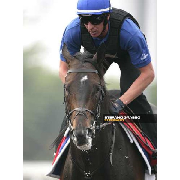 Ramonti execercing during morning track works at Sha Tin Hong Kong, 6th dec. 2007 ph. Stefano Grasso