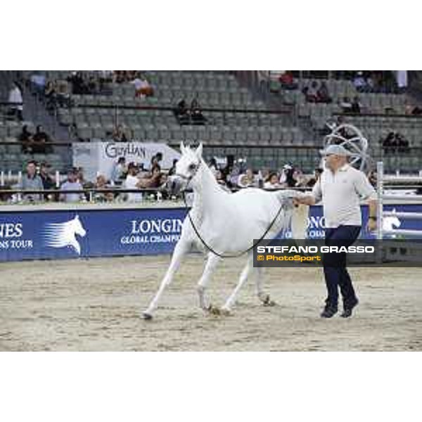 LGCT of Doha - The Arabian show - DOHA - Al Shaqab,11th nov. 2017 - ph.Stefano Grasso-Mario Grassia/LGCT