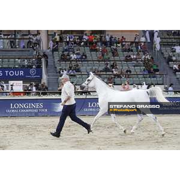 LGCT of Doha - The Arabian show - DOHA - Al Shaqab,11th nov. 2017 - ph.Stefano Grasso-Mario Grassia/LGCT