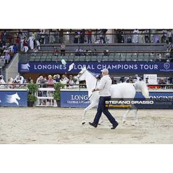 LGCT of Doha - The Arabian show - DOHA - Al Shaqab,11th nov. 2017 - ph.Stefano Grasso-Mario Grassia/LGCT