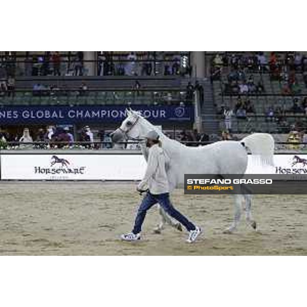 LGCT of Doha - The Arabian show - DOHA - Al Shaqab,11th nov. 2017 - ph.Stefano Grasso-Mario Grassia/LGCT