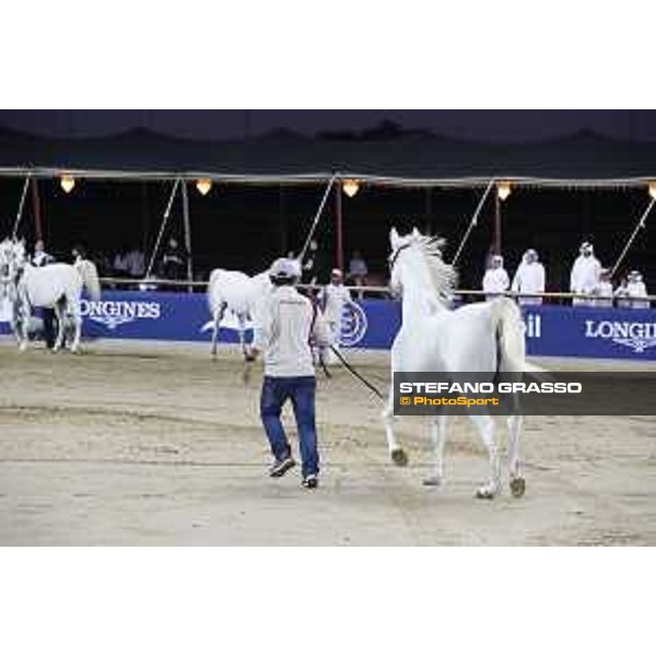 LGCT of Doha - The Arabian show - DOHA - Al Shaqab,11th nov. 2017 - ph.Stefano Grasso-Mario Grassia/LGCT