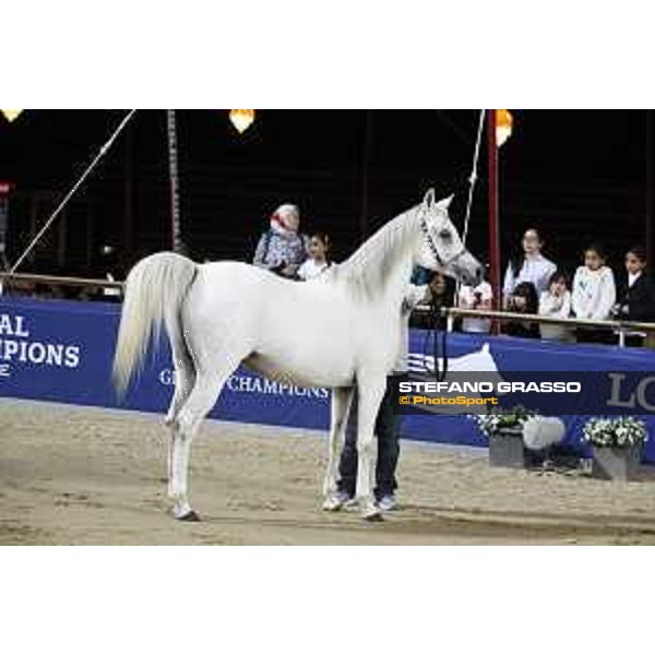 LGCT of Doha - The Arabian show - DOHA - Al Shaqab,11th nov. 2017 - ph.Stefano Grasso-Mario Grassia/LGCT