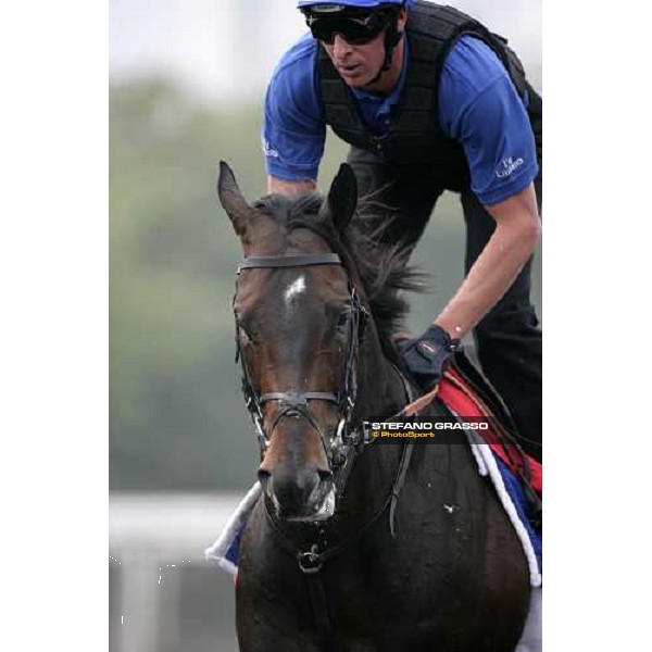 Ramonti execercing during morning track works at Sha Tin Hong Kong, 6th dec. 2007 ph. Stefano Grasso