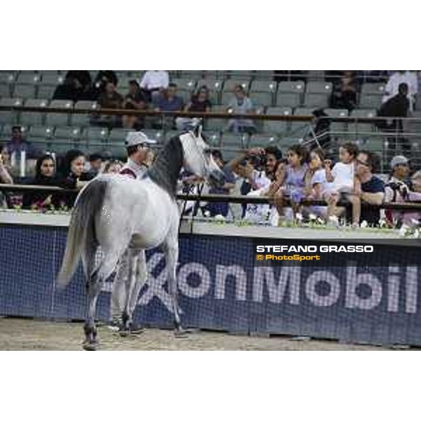 LGCT of Doha - The Arabian show - DOHA - Al Shaqab,11th nov. 2017 - ph.Stefano Grasso-Mario Grassia/LGCT
