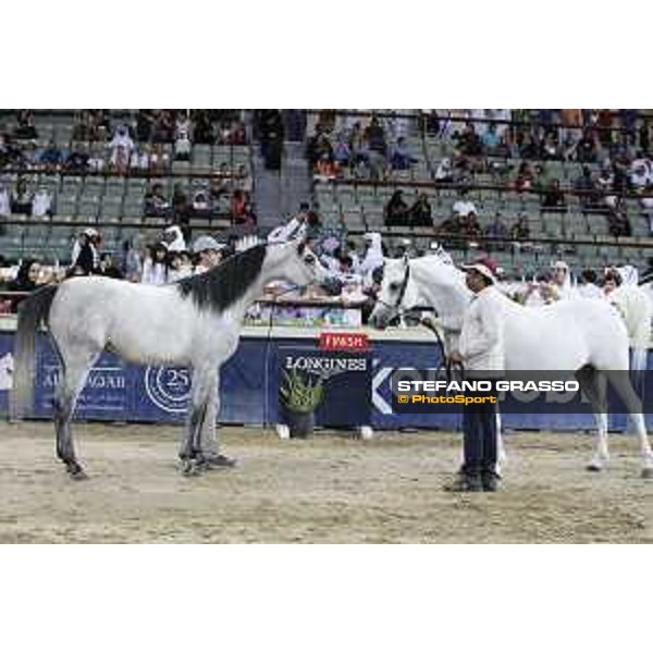 LGCT of Doha - The Arabian show - DOHA - Al Shaqab,11th nov. 2017 - ph.Stefano Grasso-Mario Grassia/LGCT