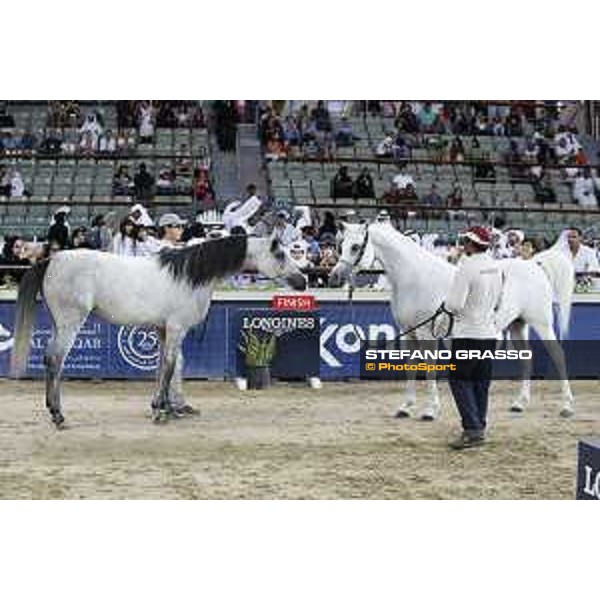 LGCT of Doha - The Arabian show - DOHA - Al Shaqab,11th nov. 2017 - ph.Stefano Grasso-Mario Grassia/LGCT