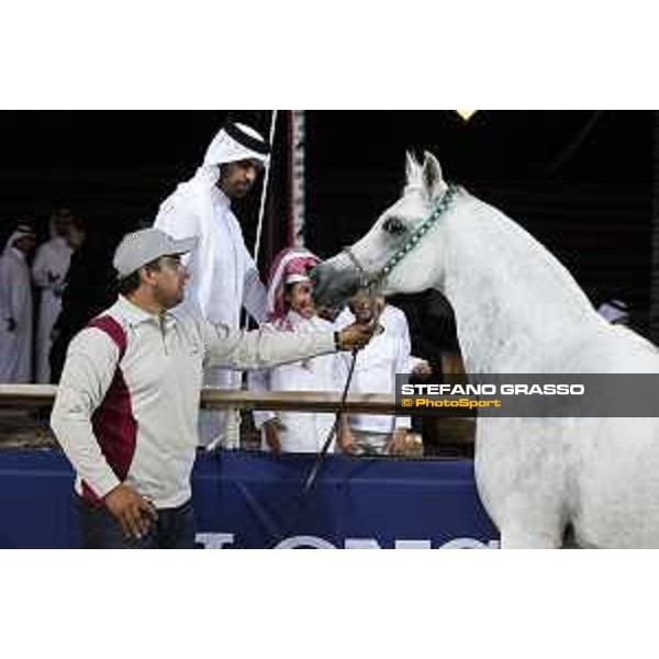 LGCT of Doha - The Arabian show - DOHA - Al Shaqab,11th nov. 2017 - ph.Stefano Grasso-Mario Grassia/LGCT