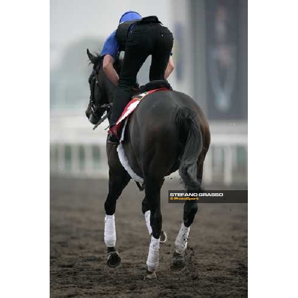 Ramonti execercing during morning track works at Sha Tin Hong Kong, 6th dec. 2007 ph. Stefano Grasso