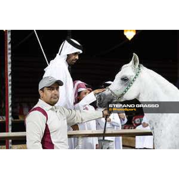 LGCT of Doha - The Arabian show - DOHA - Al Shaqab,11th nov. 2017 - ph.Stefano Grasso-Mario Grassia/LGCT