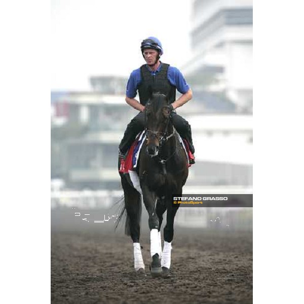 Ramonti coming back after morning track works at Sha Tin Hong Kong, 6th dec. 2007 ph. Stefano Grasso