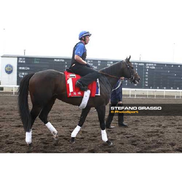 Ramonti coming back to the stable after morning track works at Sha Tin Hong Kong, 6th dec. 2007 ph. Stefano Grasso
