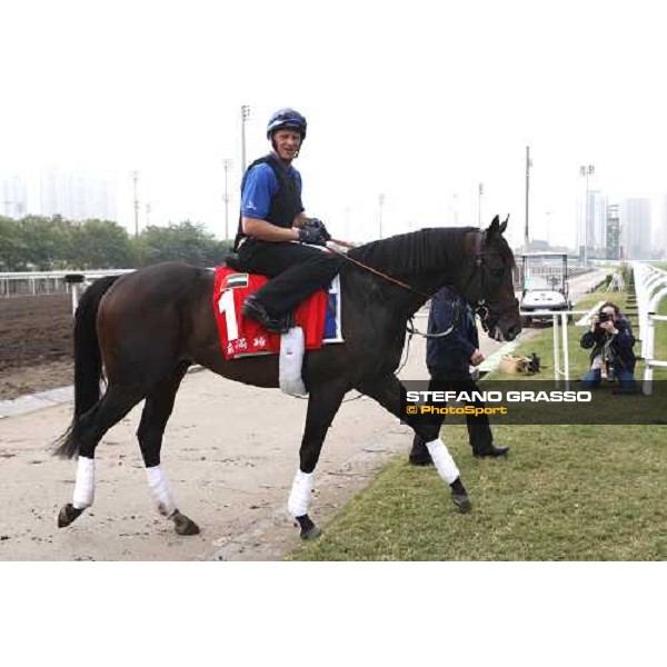 Ramonti coming back to the stable after morning track works at Sha Tin Hong Kong, 6th dec. 2007 ph. Stefano Grasso