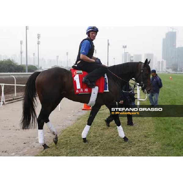 Ramonti coming back to the stable after morning track works at Sha Tin Hong Kong, 6th dec. 2007 ph. Stefano Grasso