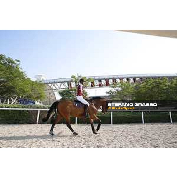 LGCT of Doha - Sheikh Ali Al Thani on First Devision DOHA - Al Shaqab,9th nov. 2017 ph.Stefano Grasso/LGCT
