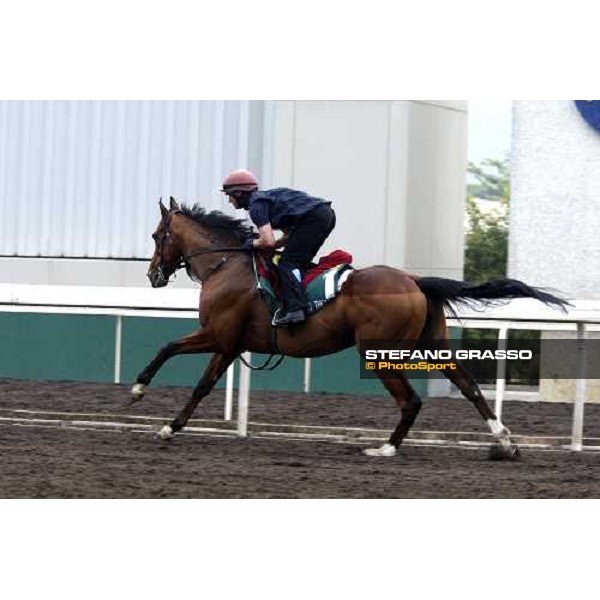 Dylan Thomas during morning track works at Sha Tin racetrack Hong Kong, 6th dec. 2007 ph. Stefano Grasso