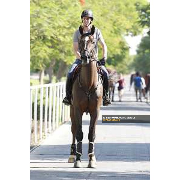 LGCT of Doha - Harrie Smolders on Don VHP Z DOHA - Al Shaqab,9th nov. 2017 ph.Stefano Grasso/LGCT